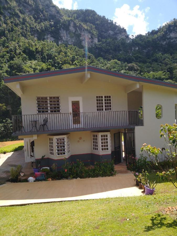 Casa De Campo Rio Arriba Аресибо Екстериор снимка