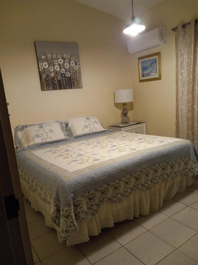Casa De Campo Rio Arriba Аресибо Екстериор снимка